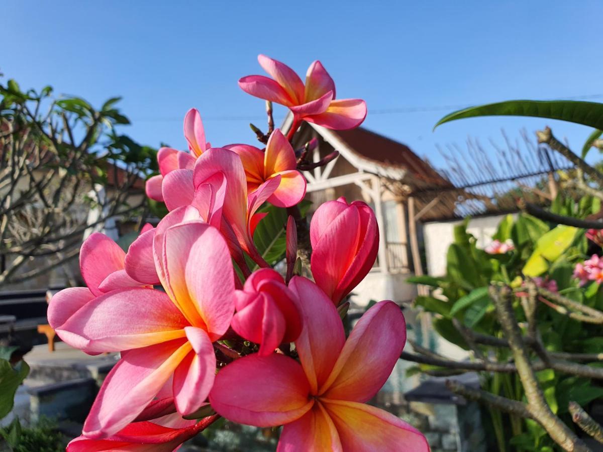 De Jantux Villa Uluwatu  Ngoại thất bức ảnh